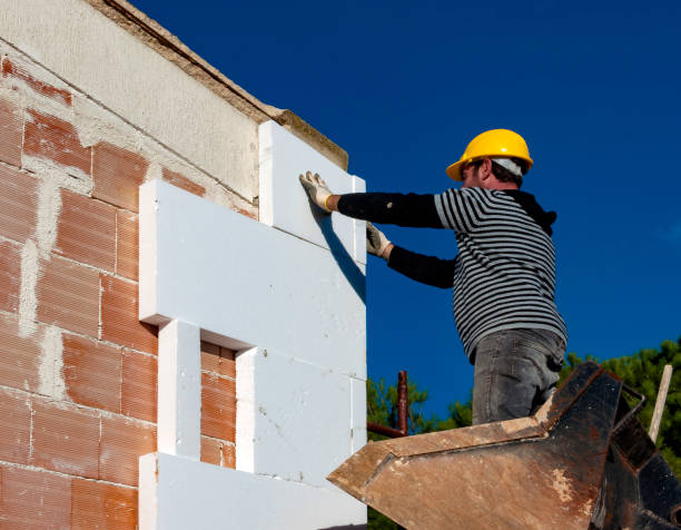Best Cellulose Insulation in Taylor Creek, OH