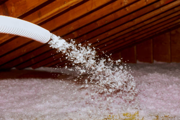 Best DIY Insulation Kits and Guidance in Taylor Creek, OH