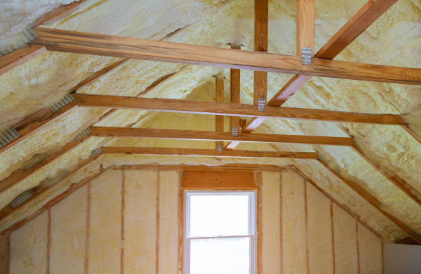 Best Specialized Insulation Services in Taylor Creek, OH